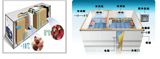雙溫冷庫 雙溫冷庫