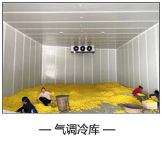 氣調(diào)冷庫.jpg 氣調(diào)冷庫.jpg