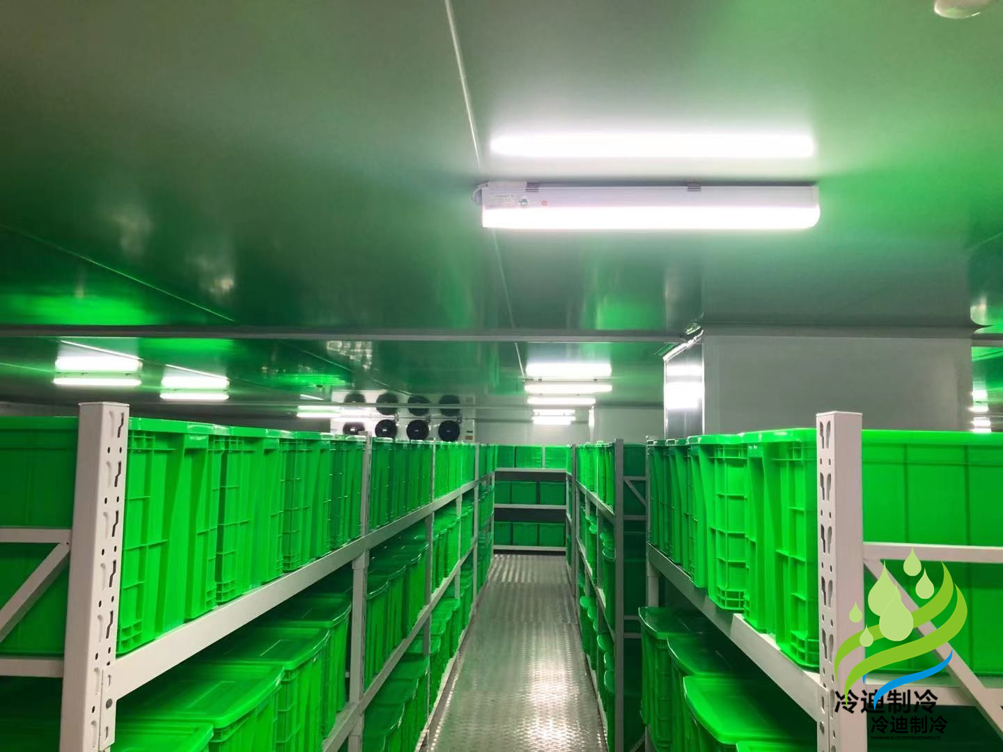 生物醫(yī)藥冷庫造價(jià)