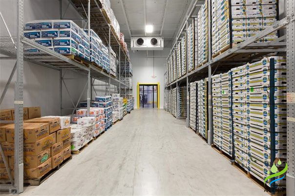 安裝一個100平方紅酒恒溫冷庫造價多少錢？