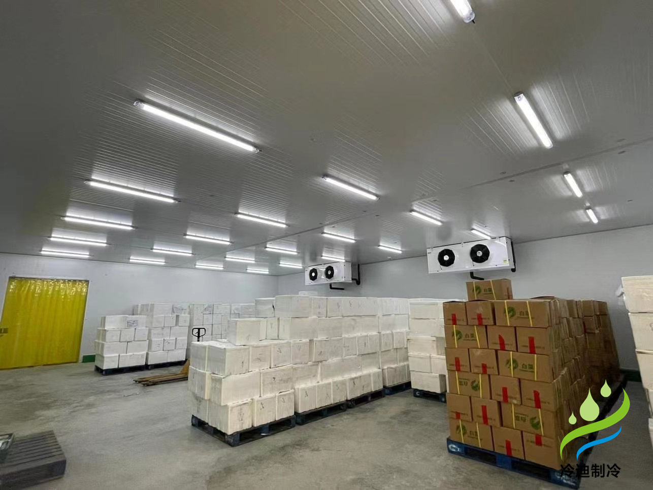 建造1000平方果蔬保鮮冷庫造價多少錢？