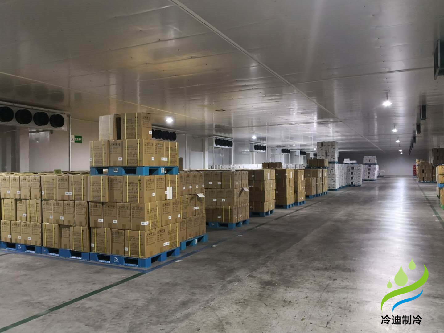 安裝一個100平方米茶葉冷庫造價要多少錢？