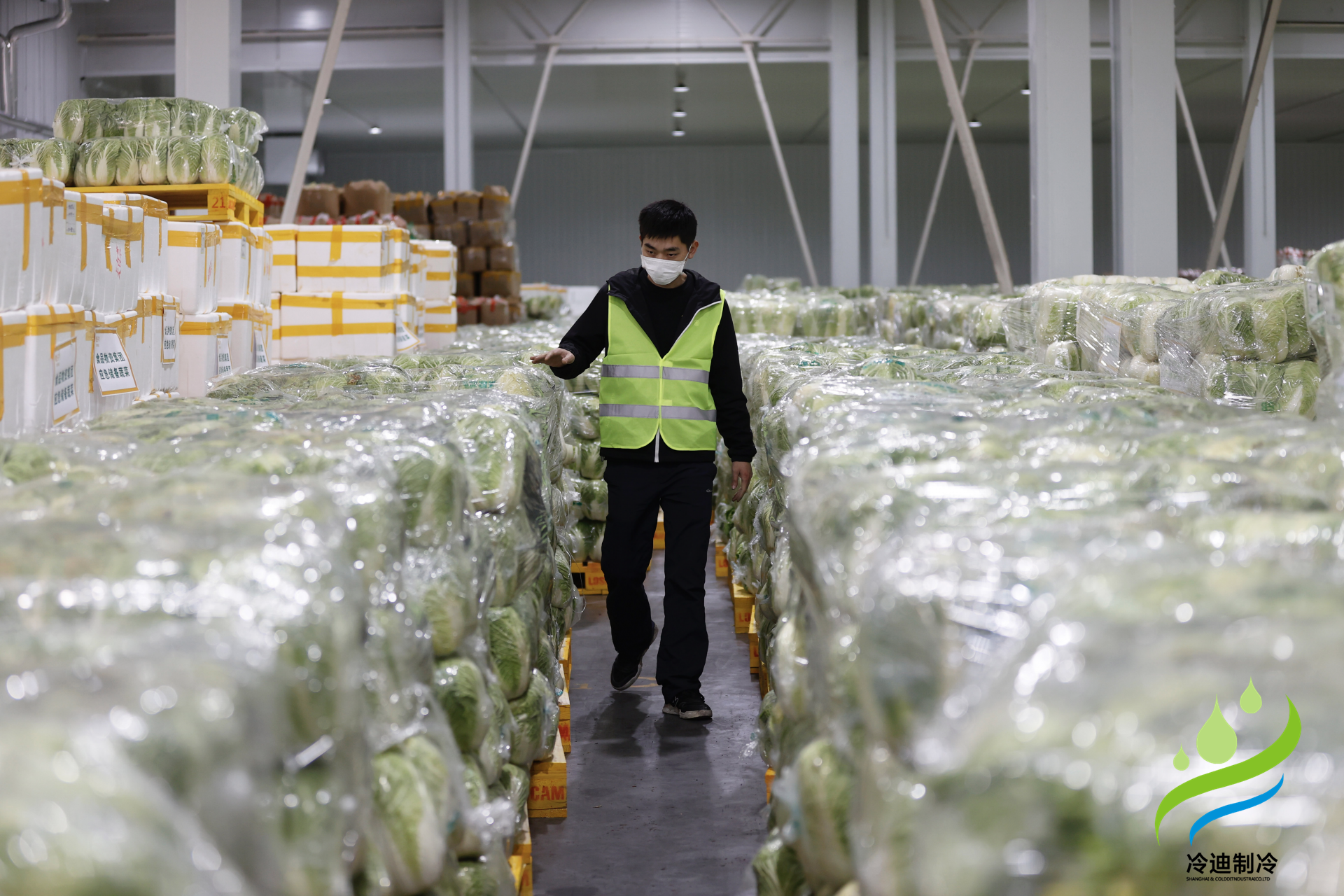 安裝一個生鮮冷鏈冷庫需要多少錢？(圖2)